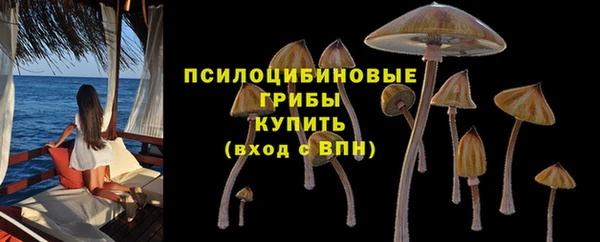 jwh Алзамай